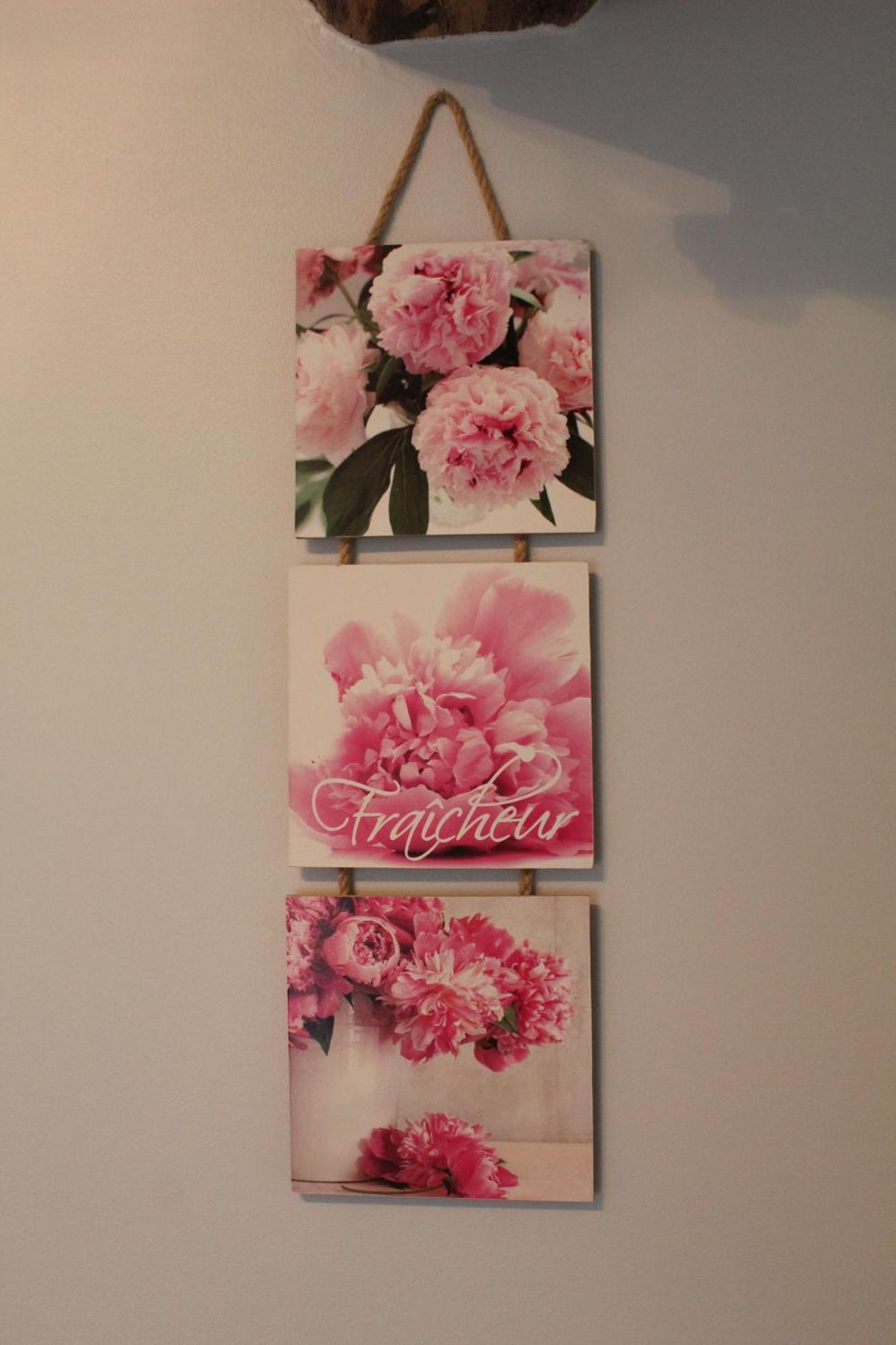 La Douce Charentaise Bed & Breakfast Merignac  ภายนอก รูปภาพ